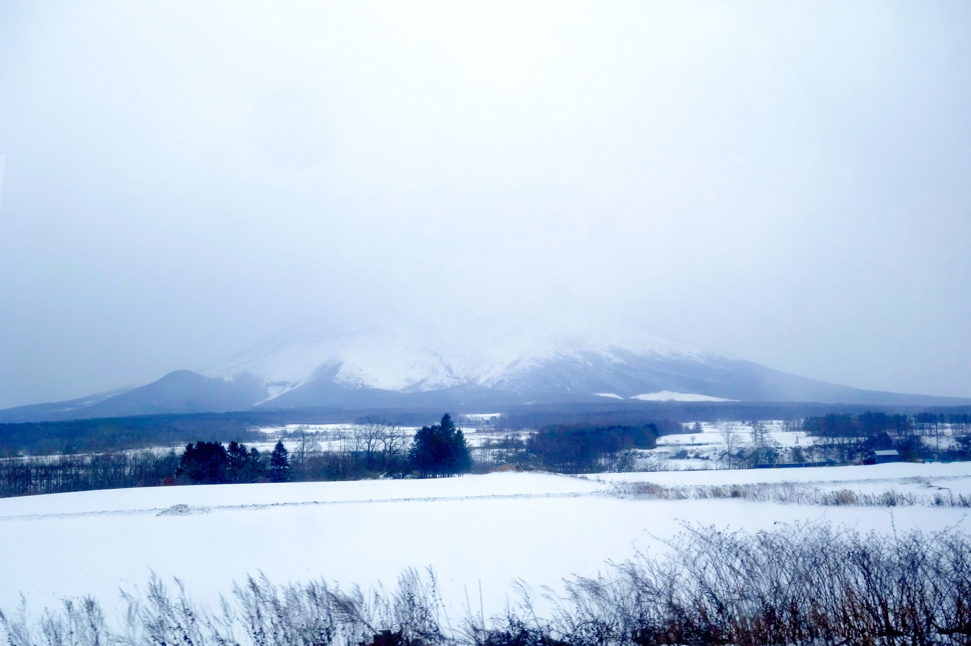 北海道自助遊攻略