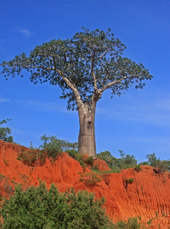 安哥拉故事大量美图