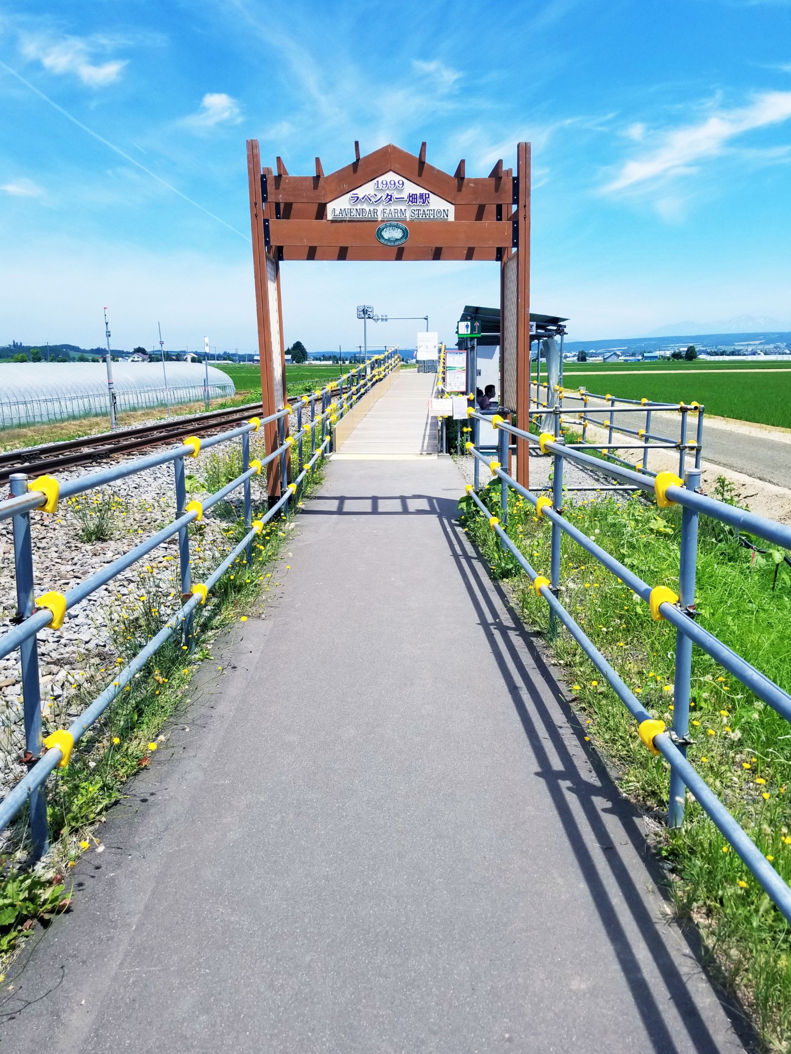 北海道自助遊攻略