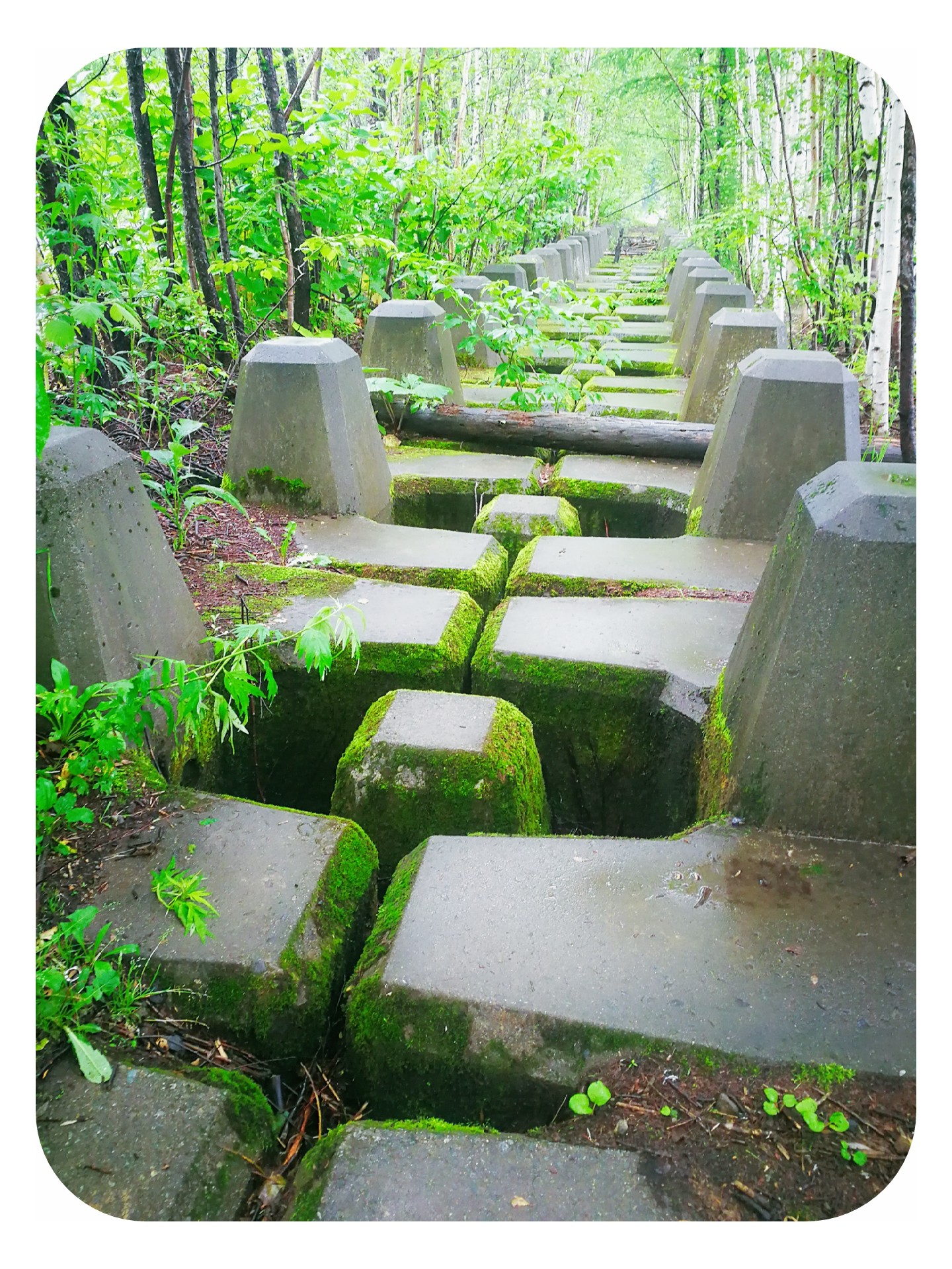 北海道自助遊攻略