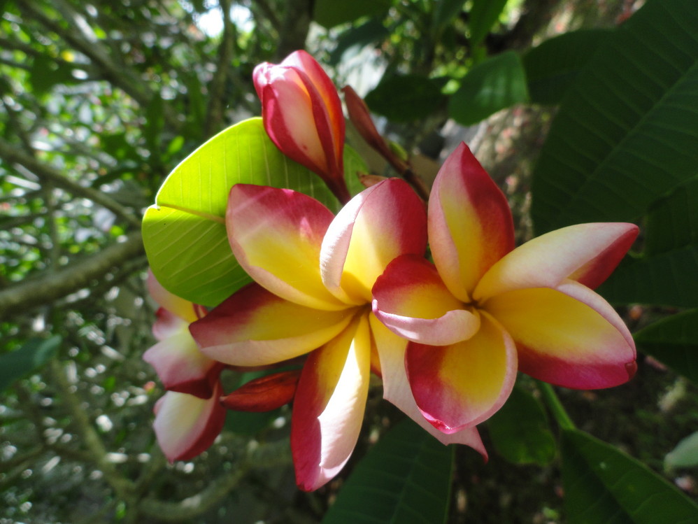 下午6点猜成语_看图猜成语(3)