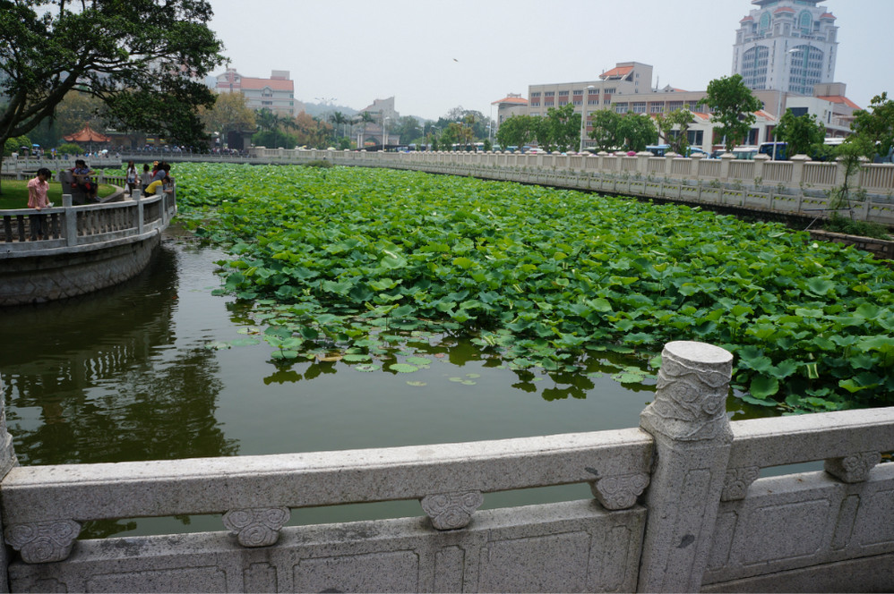普陀多少人口_普陀寺(3)