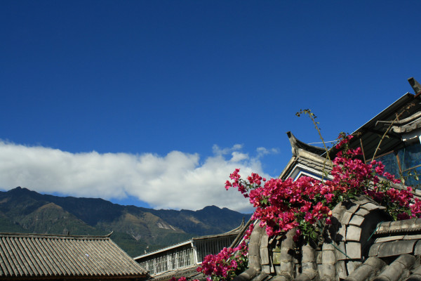 真实的大理攻略 wKgB3FDNaeKAWSaSAAtAqLWXhj493.jpeg?imageView2%2F2%2Fw%2F600%2Fq%2F90