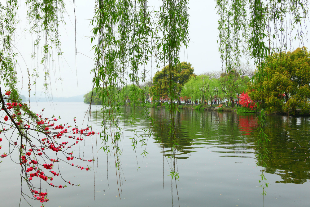 扬州瘦西湖长堤春柳图片
