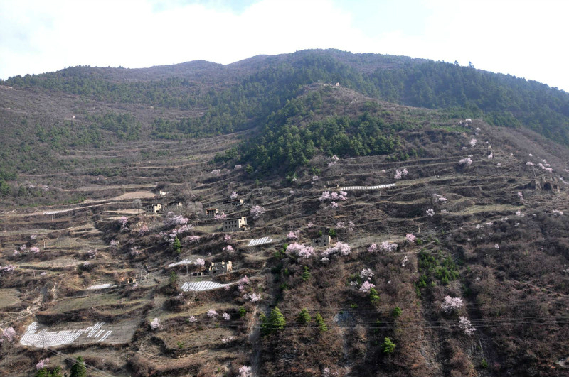 理县有多少人口_35人被困孤岛理县甲司口 当地领导组织救援