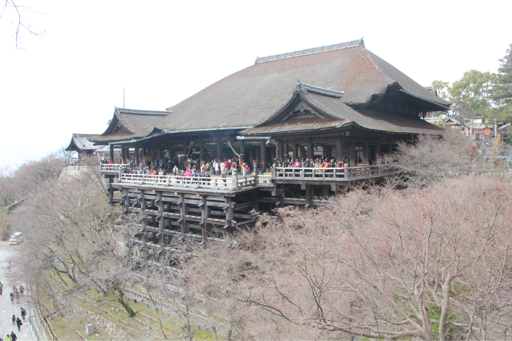 wKgB3FFU-MeAaSwyAA25SZnXX5867.jpeg?imageView2%2F2%2Fw%2F600%2Fq%2F90