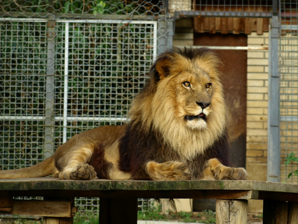 斯洛文尼亚什么奢侈品比较便宜?买什么最划算