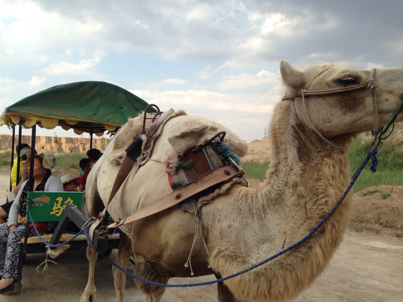 西部行6天跨3省宁夏甘肃青海201472631