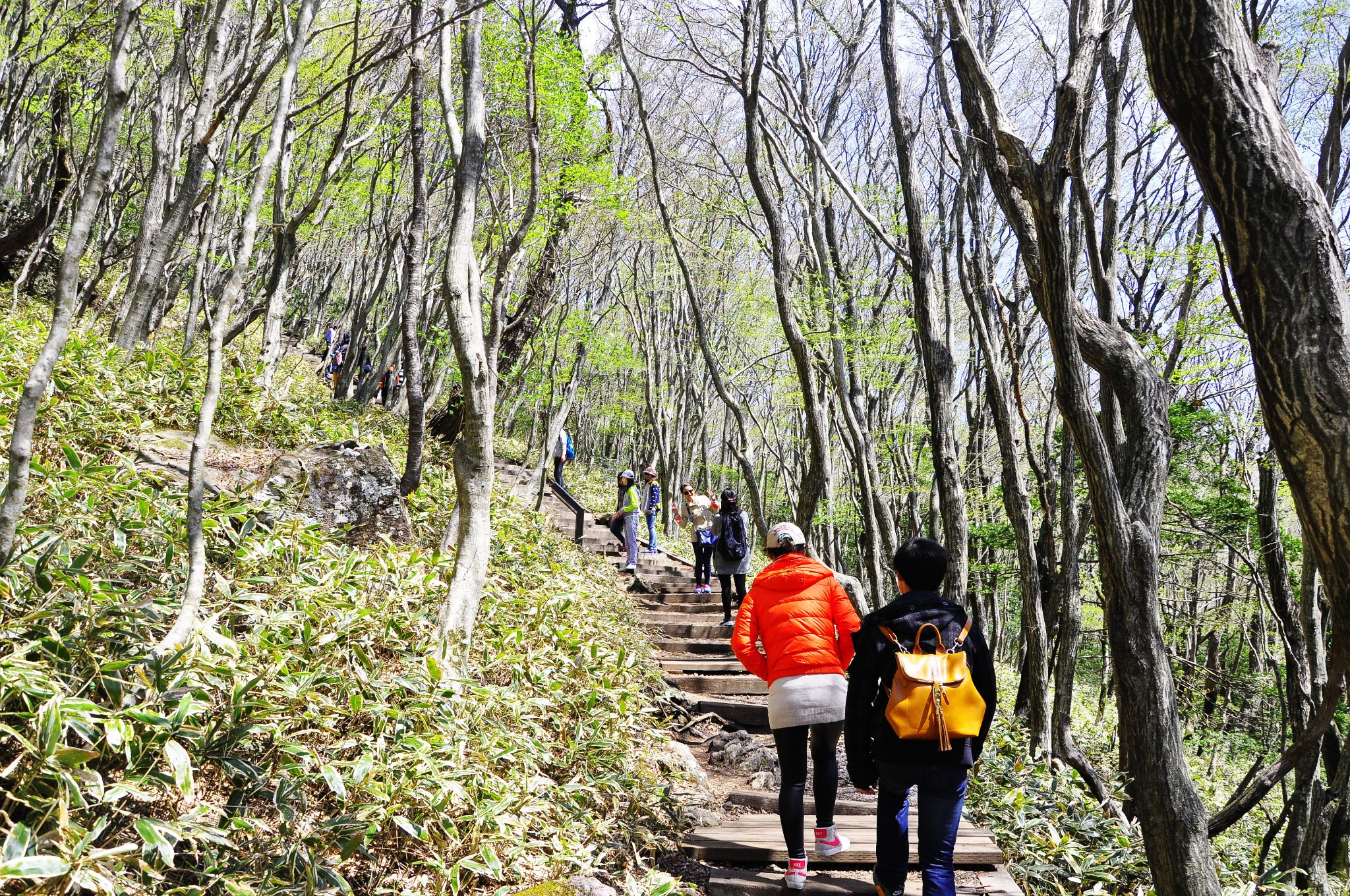 濟州島自助遊攻略