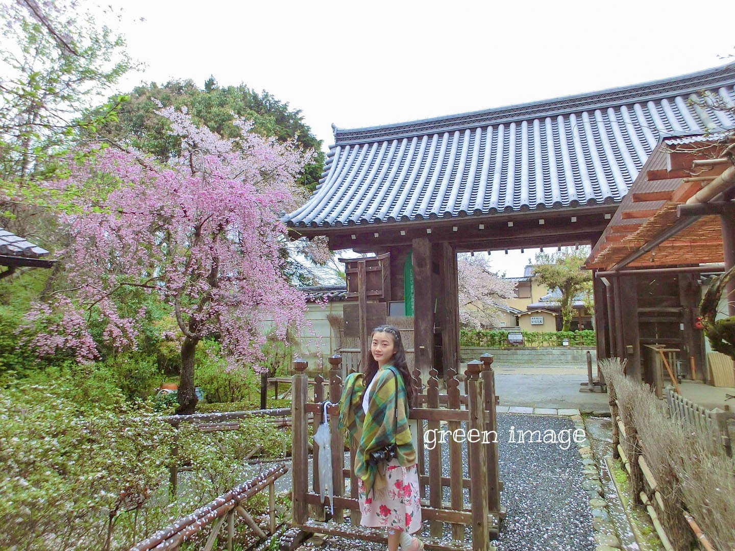 京都自助遊攻略