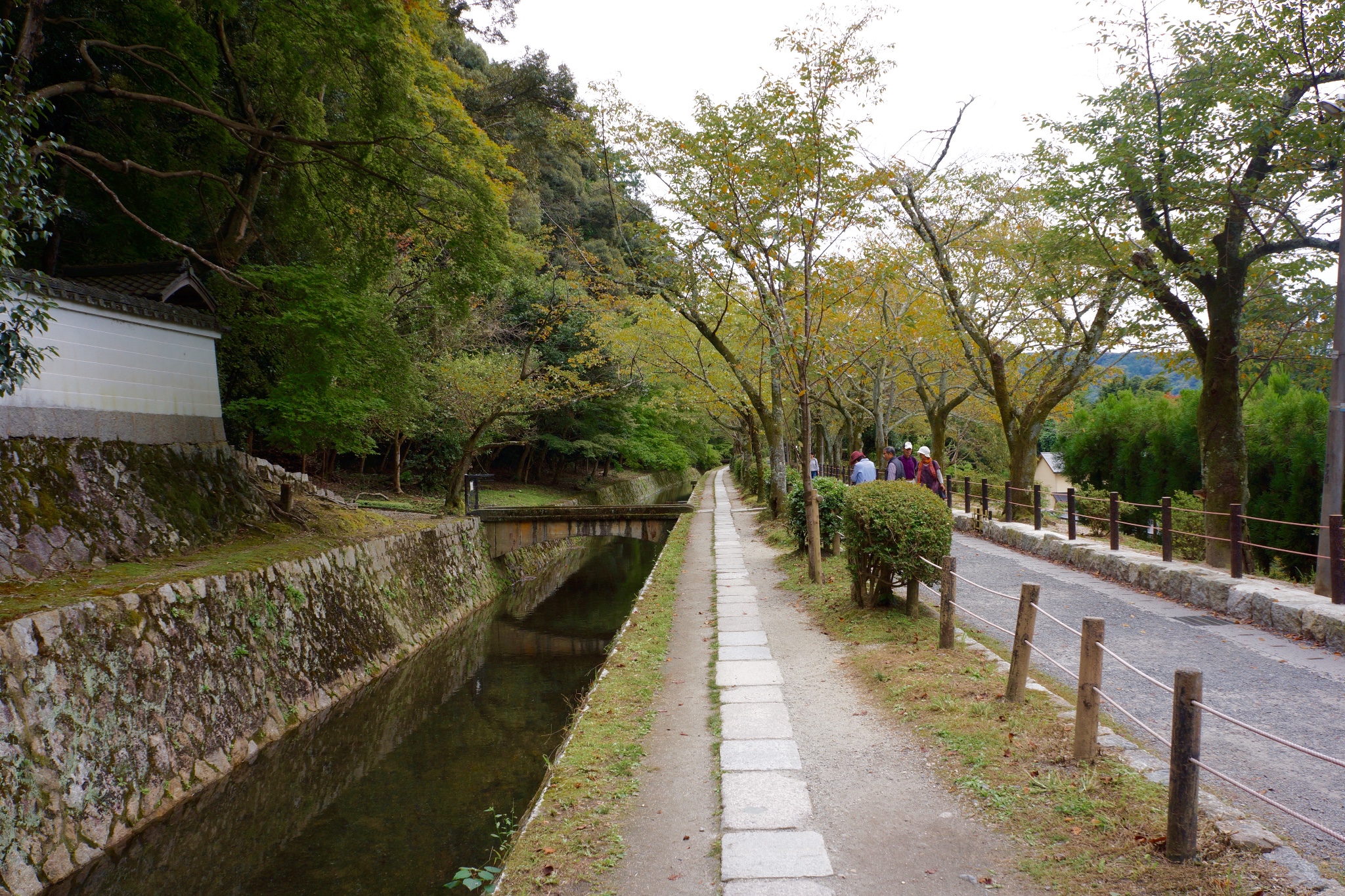 京都自助遊攻略