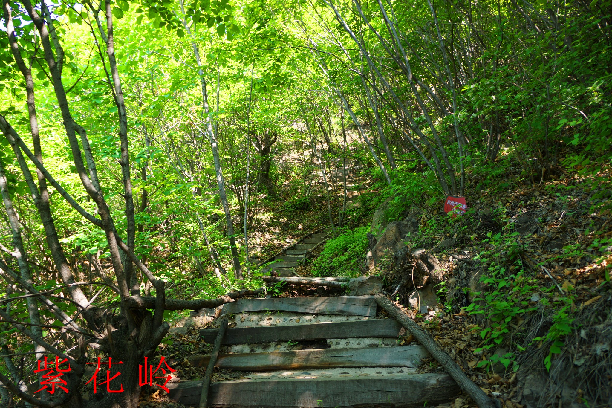 抚顺紫花岭风景区游记