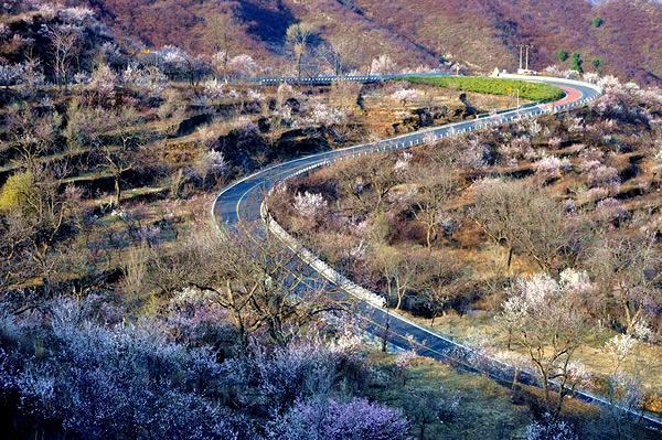 ... ,来房山蒲洼赏花看梯田,房山旅游攻略 - 蚂蜂窝