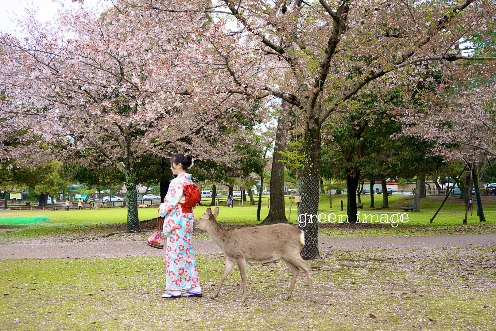 京都自助遊攻略