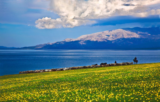 赛里木湖最新状况今天能进吗 wKgBpVV_I4-ARnYjAAKSNDvnNhU51.jpeg?imageView2%2F2%2Fw%2F510%2Fh%2F8000%2Fq%2F100