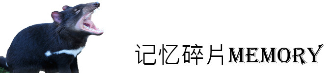 记忆碎片Memory 记忆碎片Memory