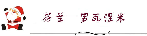 罗瓦涅米 罗瓦涅米