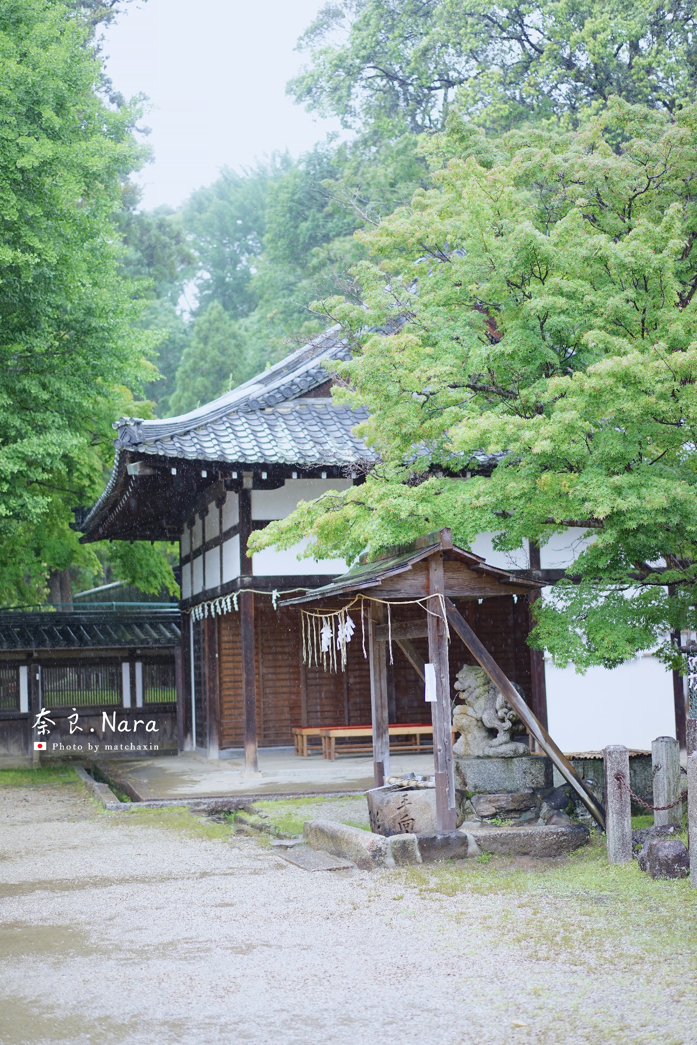 京都自助遊攻略