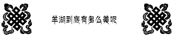 羊卓雍措 羊卓雍措