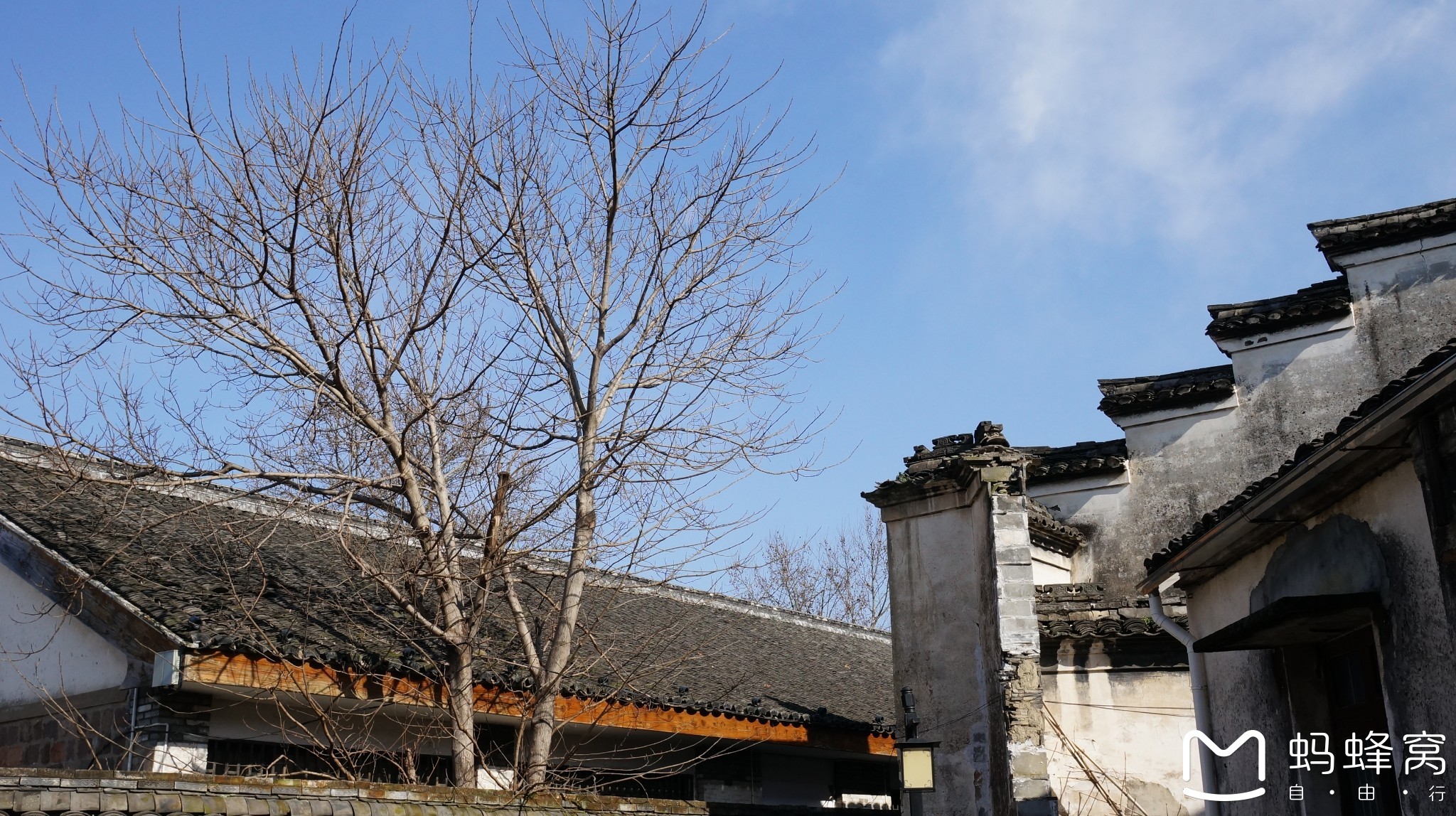 追雪絕美杭州西湖雪景,寧波慈溪鶴鳴古鎮,方家河頭村遊記.