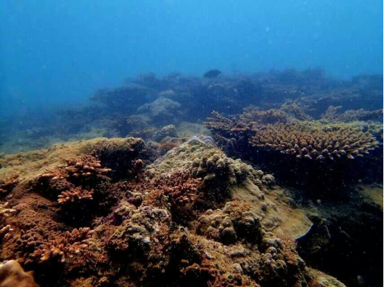 熱浪島自助遊攻略