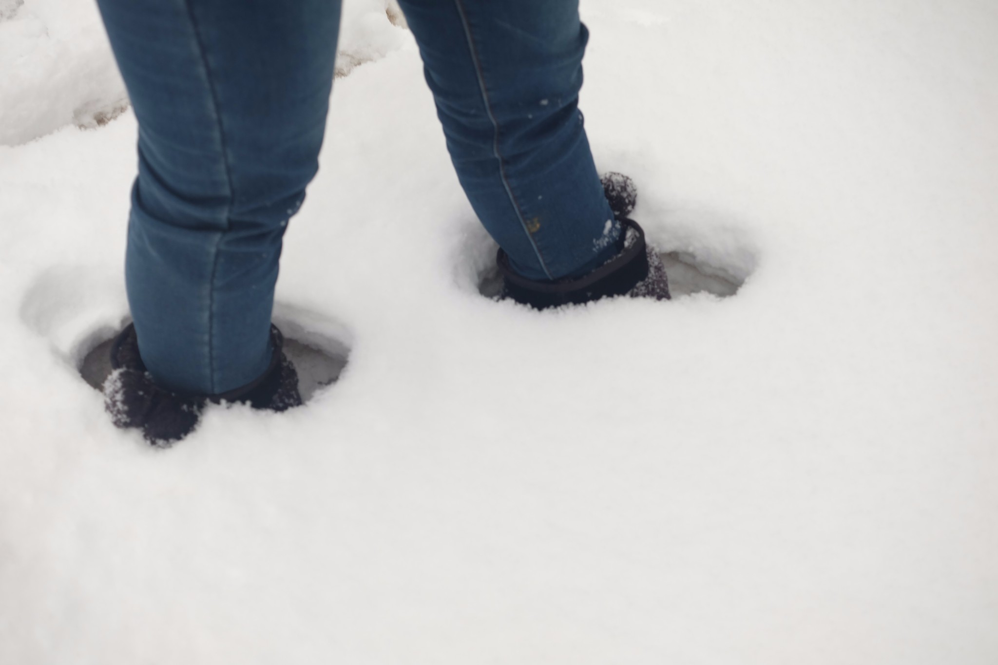 雪鄉自助遊攻略