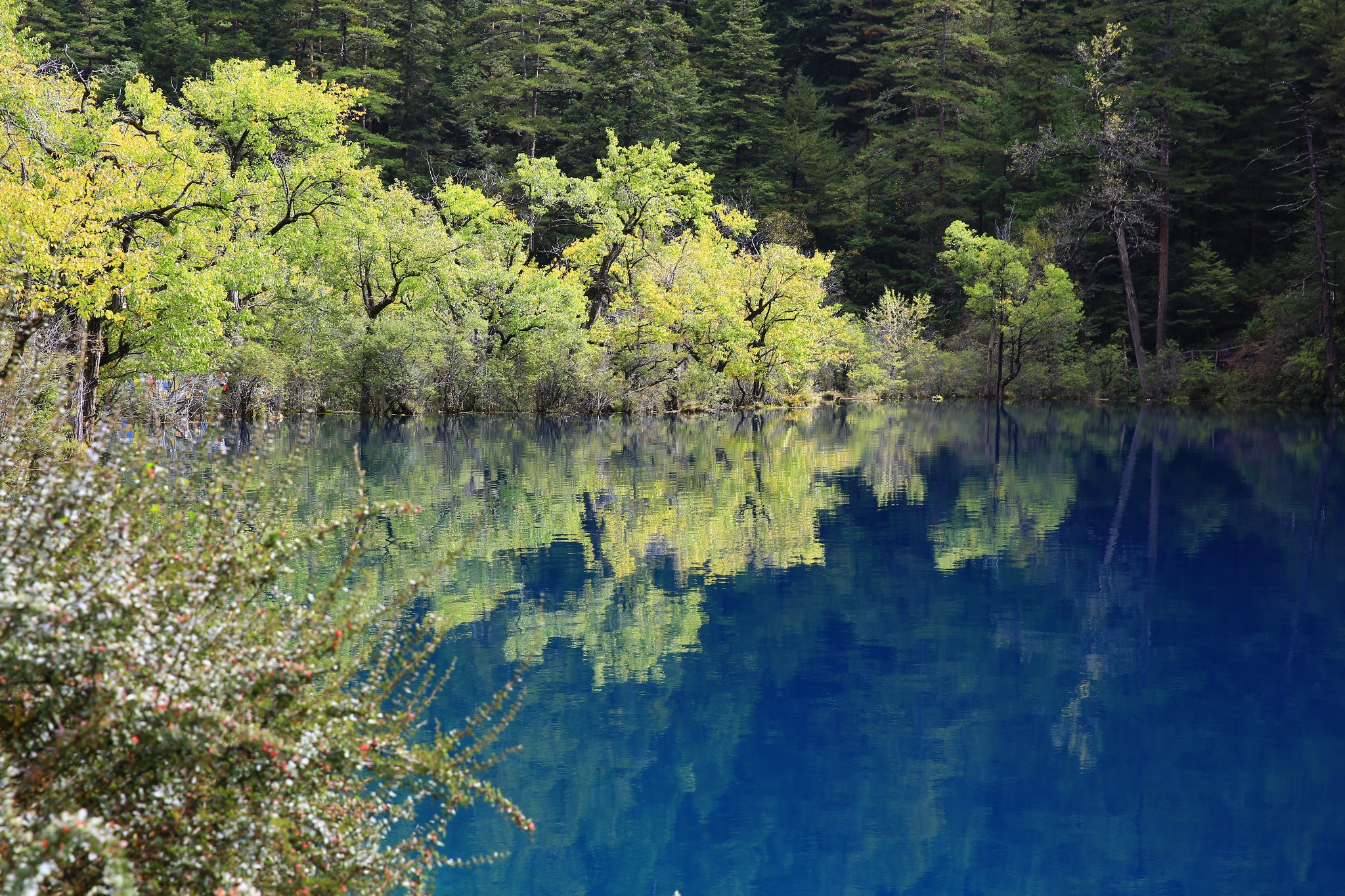 2016成都旅游攻略,成都自由行攻略,蚂蜂窝成都