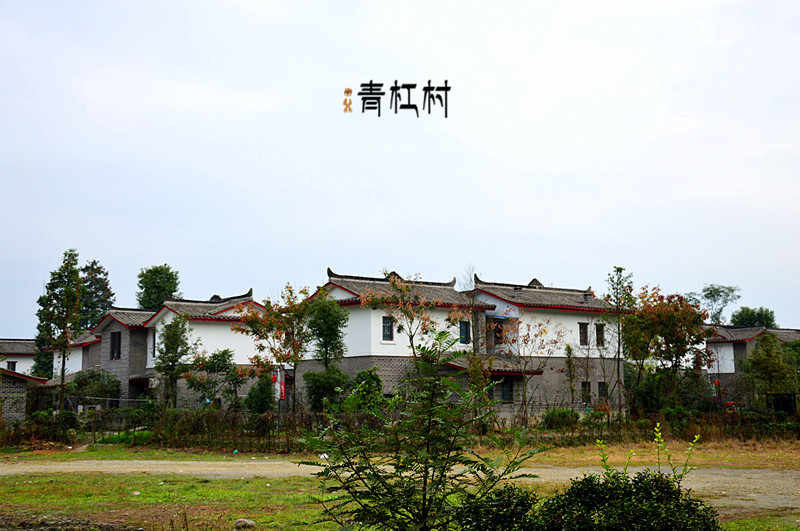 青杠树村香草湖——湖绕村中,人在画中图片56,郫县旅游景点,风景名胜