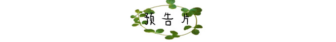 预告片 预告片