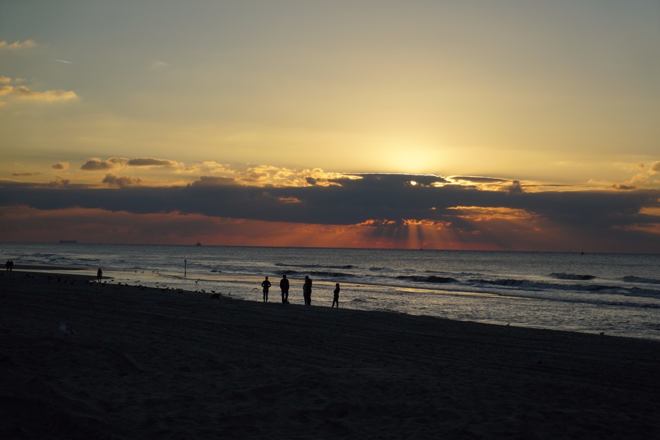 全方位记录自驾比利时荷兰·满满干货~各种T