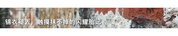 【D6台南】锦衣褪去,触摸抹不掉的闪耀胎记 【D6台南】锦衣褪去,触摸抹不掉的闪耀胎记