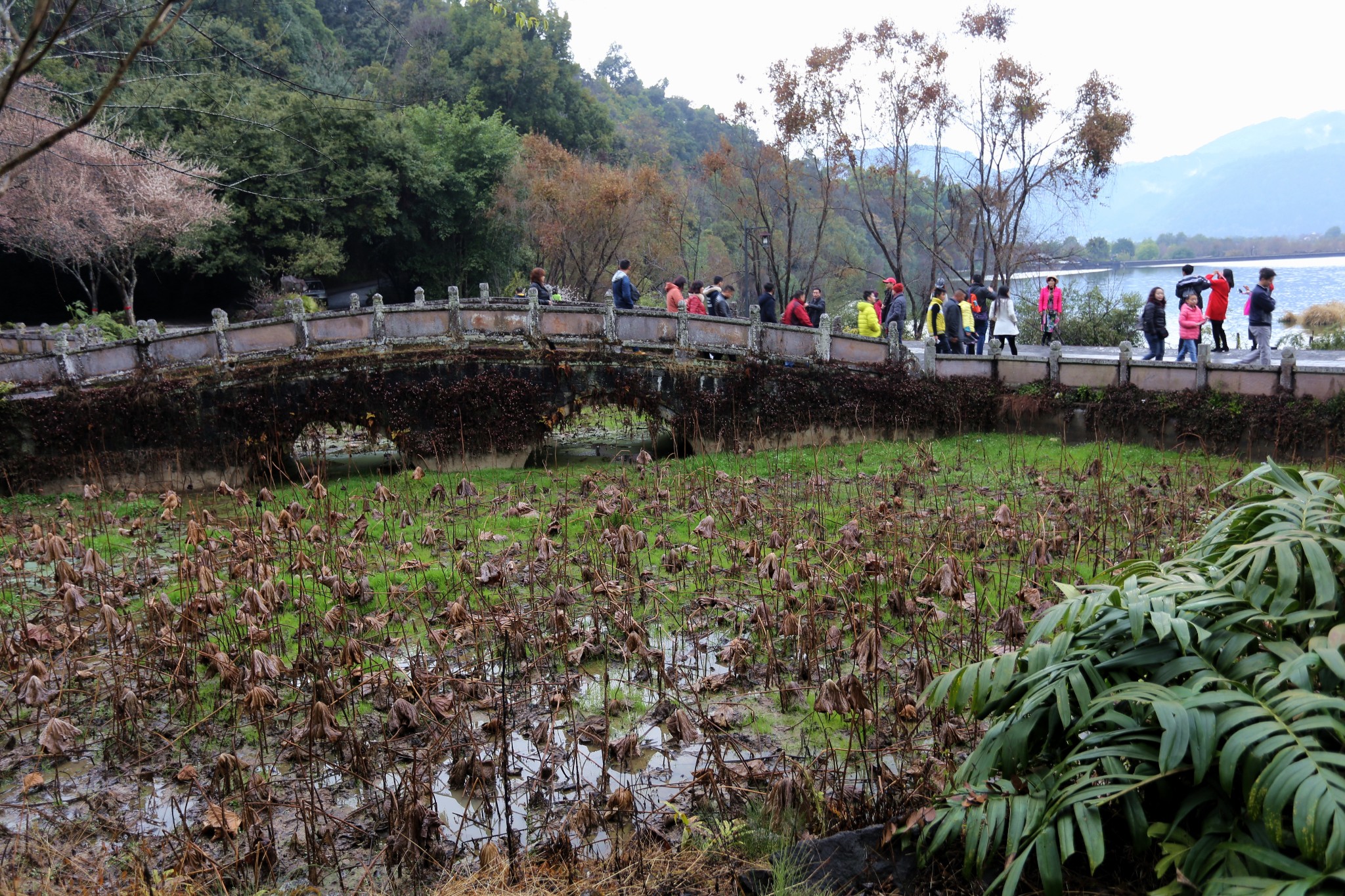 騰衝自助遊攻略