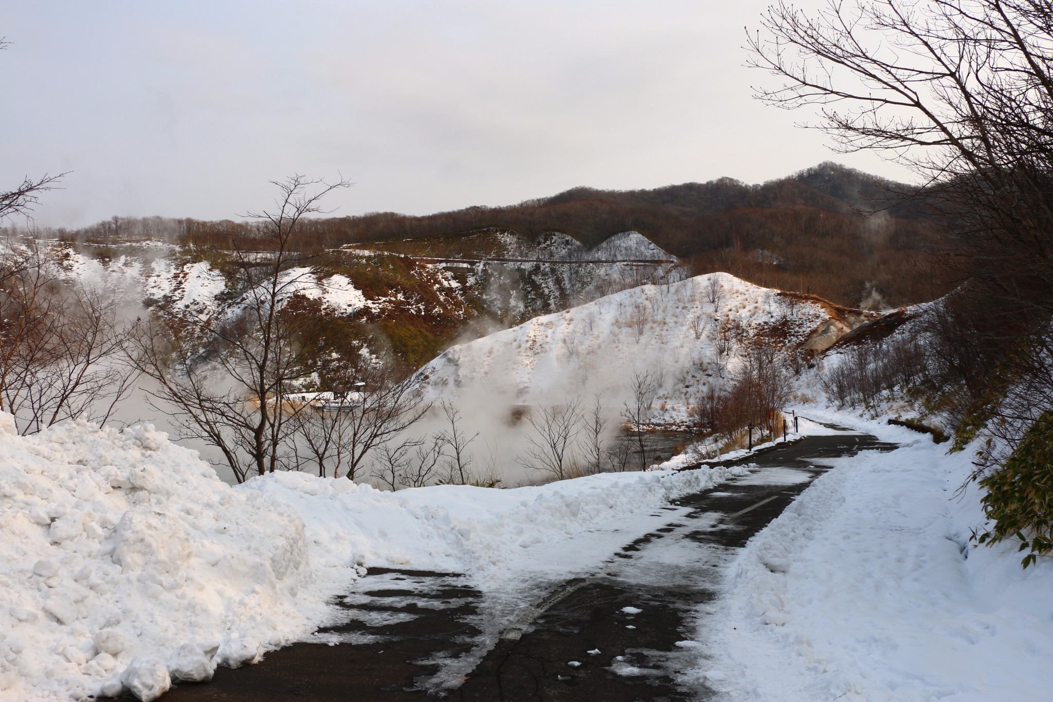 北海道自助遊攻略