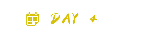 DAY 4 DAY 4