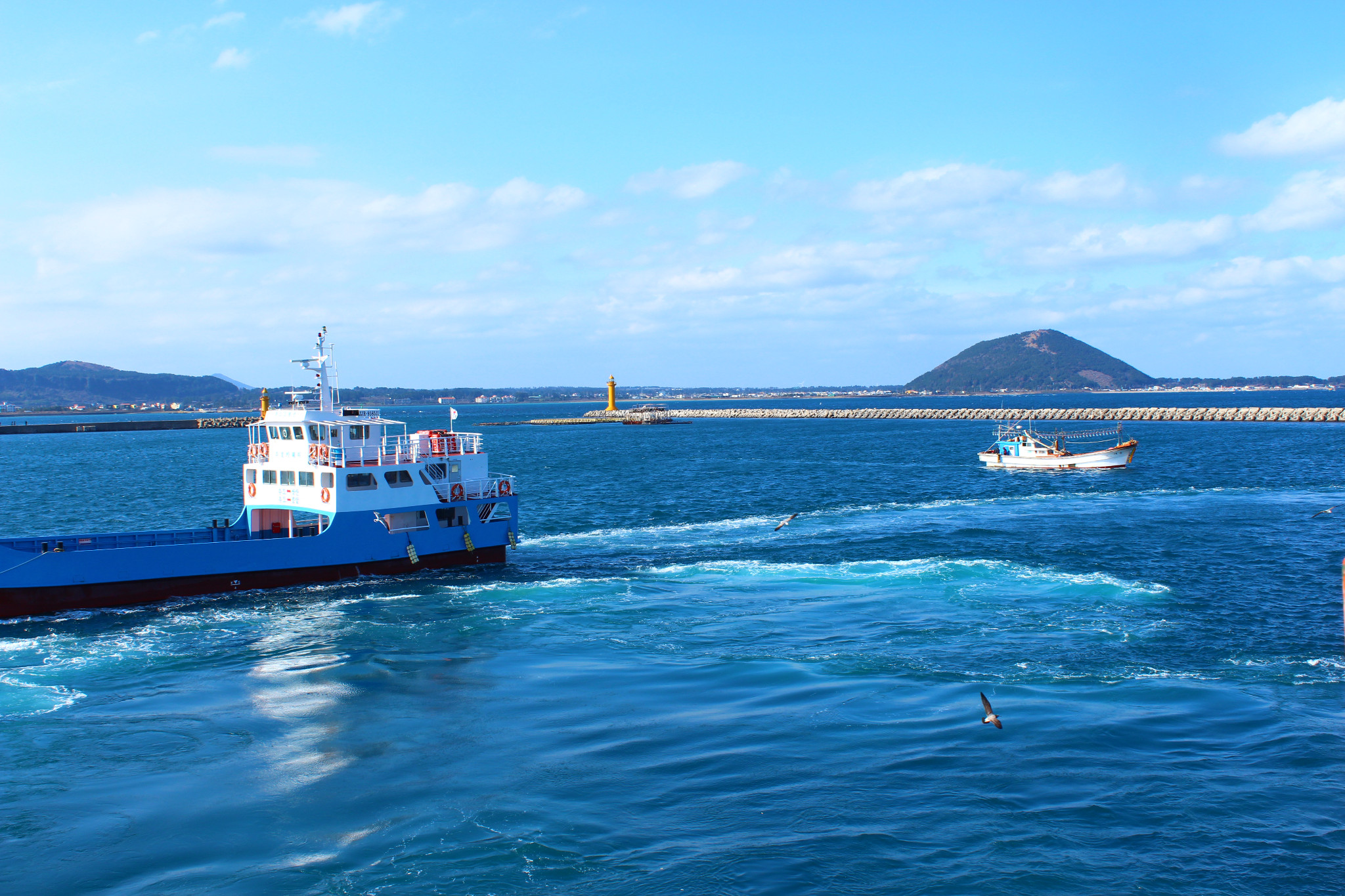 济州岛游记图片