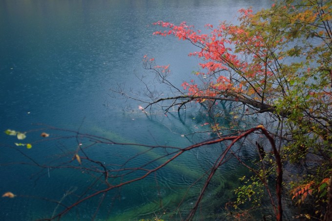 为什么叫老虎海 wKgBs1ZRwHiACE8bAArCVO4axqg63.jpeg?imageView2%2F2%2Fw%2F680%2Fq%2F90