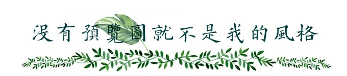 没有预览图,就不是我的风格 没有预览图,就不是我的风格