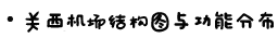- 关西机场结构与功能分布 - 关西机场结构与功能分布