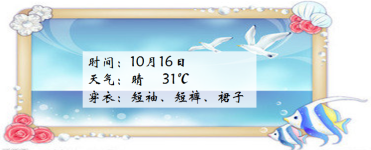 16日 16日