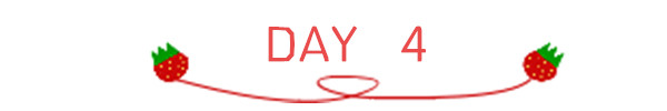 DAY 4 DAY 4
