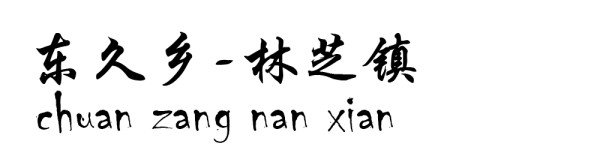 东久乡----林芝镇 东久乡----林芝镇