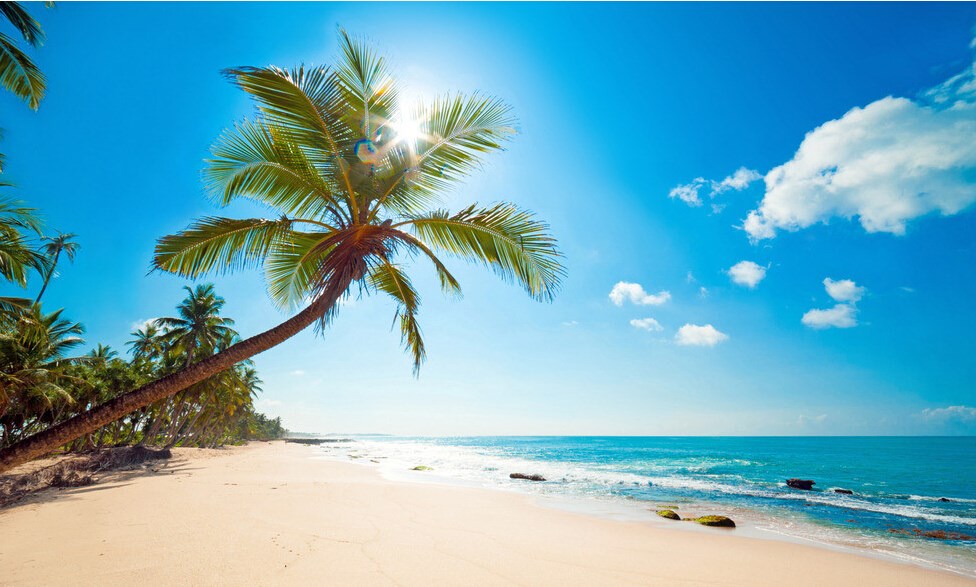 深圳直飞泰国曼谷+芭堤雅+沙美岛6天5晚半自