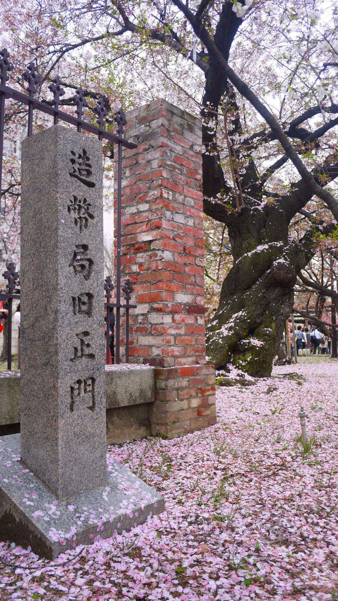 京都自助遊攻略