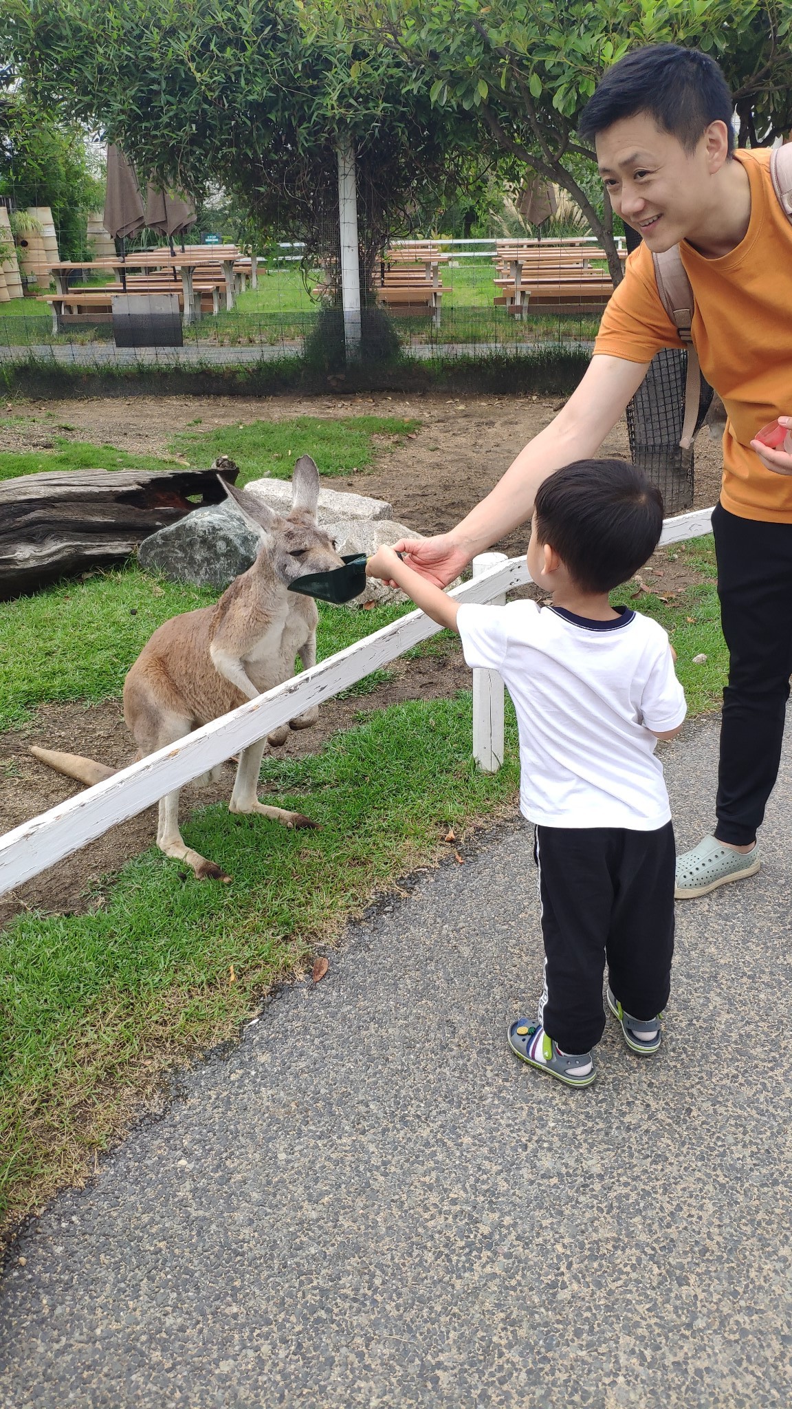 日本自助遊攻略