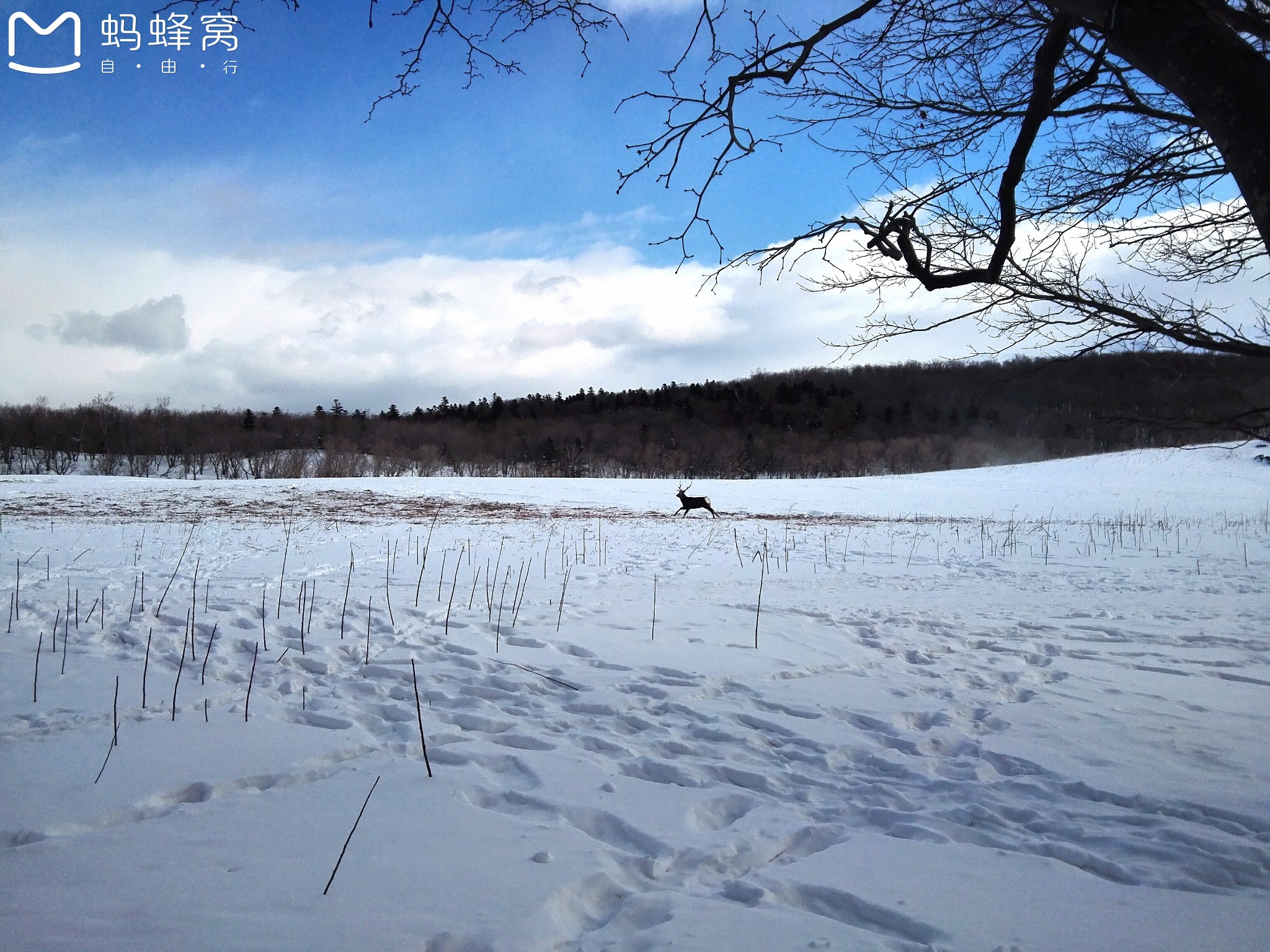 北海道自助遊攻略