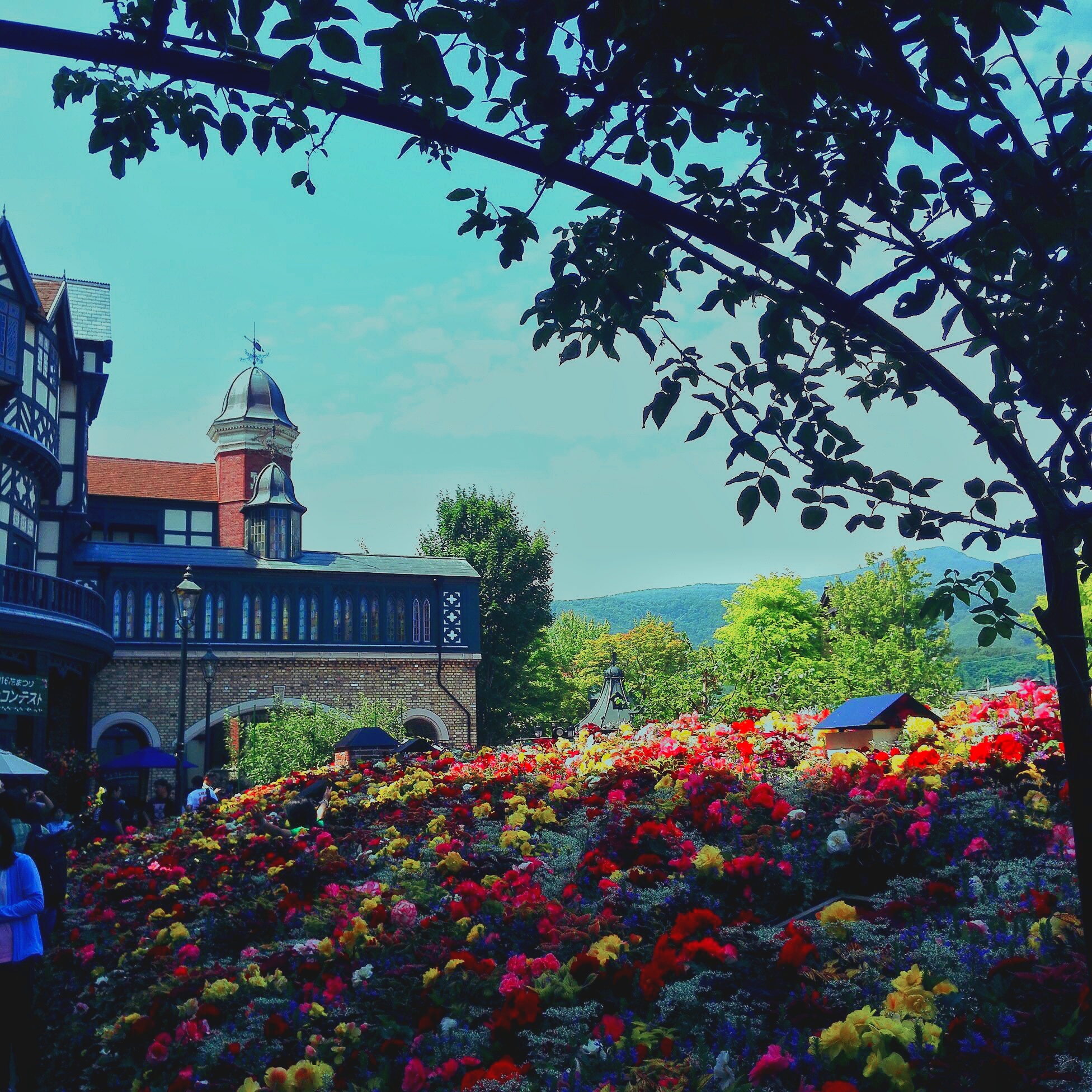 一个茶杯猜成语_看图猜成语(3)