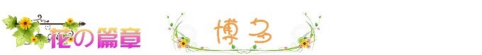 ❀ 花之篇章 - 博多 ❀ 花之篇章 - 博多