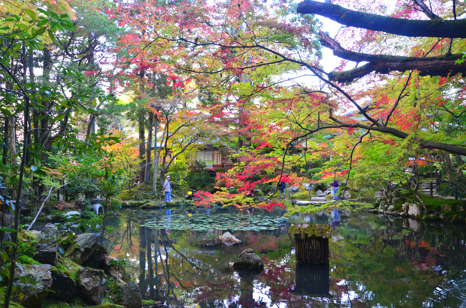 京都自助遊攻略