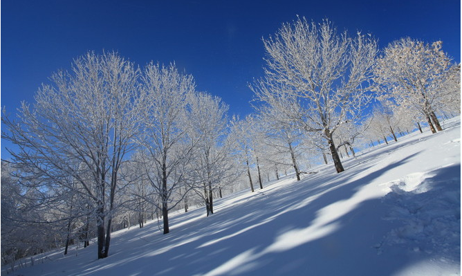 雪鄉自助遊攻略