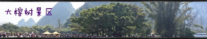 大榕树景区 大榕树景区